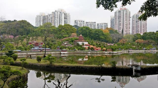 shenzhen,guangdong