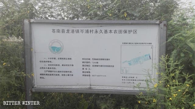 L’expropriation de terres,Persécuté à mort,Violence policière,Droits de l'homme,Wenzhou chine