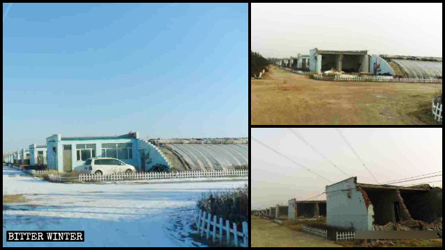 Pépinières de la commune de Jinhe dans le district de Saihan, ville de Hohhot avant et après la démolition.